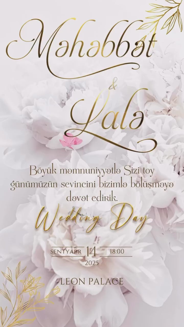 🌸 Ağ Gül Ləçəkləri və Çəhrayı Kəpənəklər Dizaynı ┃ White Petals & Pink Butterfly Design